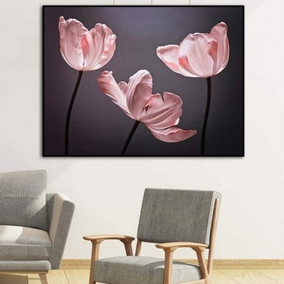 Tranh Treo Tường Mẫu Hoa Tulip Hồng HD3473